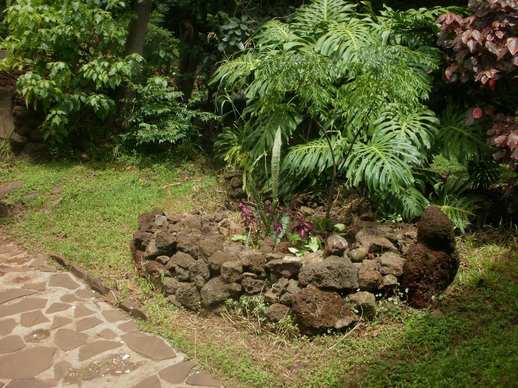 Cabanas Moenga Hanga Roa Extérieur photo